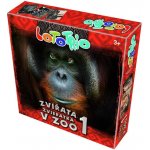 Betaxa LotoTrio Zvířatka v ZOO 1 – Zboží Živě