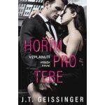 Hořím pro tebe - T.J. Geissinger – Zboží Mobilmania