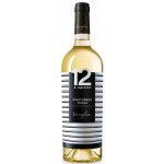 Varvaglione 12 e Mezzo Pinot Grigio di Puglia IGP 12,5% 0,75 l (holá láhev) – Hledejceny.cz