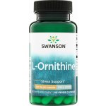 Swanson L-Ornithine L-Ornitin 500 mg 60 rostlinných kapslí – Hledejceny.cz