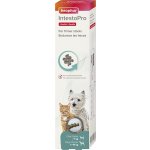 Pasta Beaphar IntestoPro pro psy nad 15 kg 2 x 20 ml – Hledejceny.cz