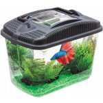 Aquael Betta Kit 3 l – Zboží Dáma
