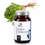 Sibyl Kořen pampelišky 100 kapslí – Hledejceny.cz