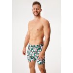 Cornette Trenýrky Classic 001/164 – Hledejceny.cz