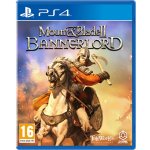 Mount and Blade 2 Bannerlord – Sleviste.cz