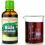 Bylinné kapky Růže svraskalá tinktura 50 ml – Hledejceny.cz