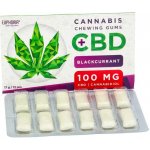 Euphoria Žvýkačky s CBD 100mg Černý rybíz 17 g – Hledejceny.cz