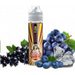 PJ Empire Slushy Queen Indigo Flow 10 ml – Zboží Mobilmania