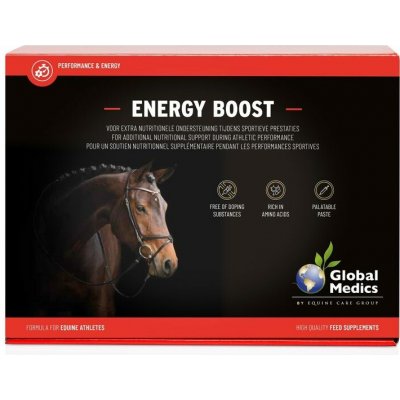 Global Medics Energy Boost 6x60 g – Hledejceny.cz