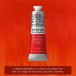 Winton olejová barva 200 ml 107 cadmium scarlet hue – Hledejceny.cz