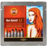 Koh-i-noor Umělecké akvarelové voskové pastely Wax Aquarelle 8282 set – Hledejceny.cz