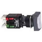 Schneider Electric XB6DW1B1B – Zbozi.Blesk.cz