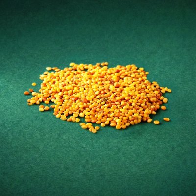 AROS jetel plazivý – Zboží Dáma