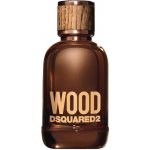 Dsquared2 Wood toaletní voda pánská 50 ml – Hledejceny.cz