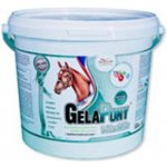Gelapony VitaMin 5,4 kg – Zboží Dáma