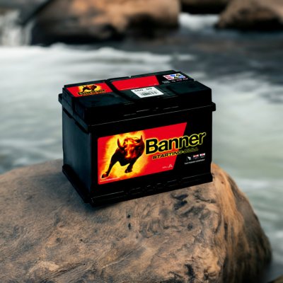 Banner Starting Bull 12V 60Ah 480A 560 09 | Zboží Auto