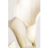 Plakát Fotografie White Calla Lily No 2, Studio Collection, 26.7 × 40 cm