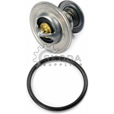 Termostat WAHLER 4264.87D – Sleviste.cz