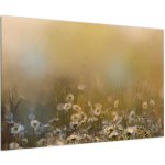 Obraz - Olejomalba sedmikrásek, jednodílný 90x60 cm