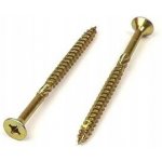 Šrouby do dřeva WT WINTECH a.s. 1 x 1 mm 1 ks – Hledejceny.cz