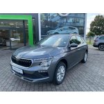Skoda Kamiq Selection DSG 85 kW – Hledejceny.cz