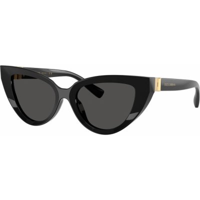 Dolce & Gabbana DG4497 501 87 – Hledejceny.cz