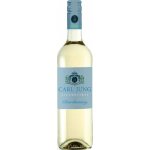 Carl Jung Chardonnay Nealko 0,5% 0,75 l (holá láhev) – Zboží Mobilmania
