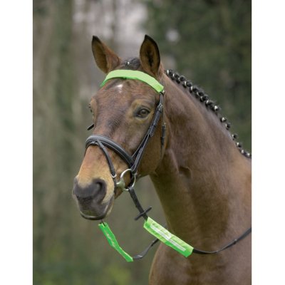Waldhausen Reflexní set na uzdečku – Zboží Dáma