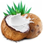 LifeLike sušené kokosové mléko 250 g – Sleviste.cz