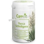 Canvit Natural Line Yucca Schidigera 150 g – Hledejceny.cz