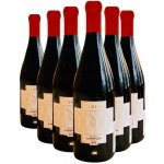 Beberi - Premium Saperavi červené suché víno 13% 6 x 0,75 l (holá láhev) – Hledejceny.cz