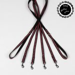 Smarti fashion Vodítko pro psy proužky nylon – Sleviste.cz