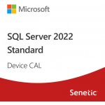 Microsoft SQL Server 2022 - 1 Device CALDG7GMGF0MF3T-0001 – Zboží Mobilmania