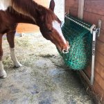 EASY FEEDER Nástěnné síťové jesle na seno – Zboží Dáma