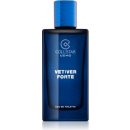 Collistar Vetiver Forte toaletní voda pánská 50 ml