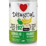 Disugual Fruit Dog Single Protein Králičí maso & Banán 400 g