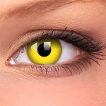 MaxVue ColorVue Crazy Lens Yellow nedioptrické 2 čočky – Hledejceny.cz