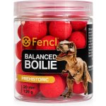 Fencl Boilie Prehistoric 900 g 20 mm – Hledejceny.cz