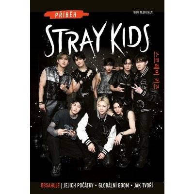 Příběh Stray Kids – Zboží Dáma