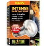 Hagen Day Glo Tight Beam 50 W – HobbyKompas.cz