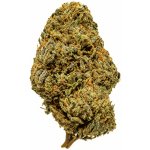KlonyKonopí CBD Royal OGAmerika THC do 1% 10 g – Zboží Mobilmania