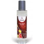 Vodnář Fruit Aqua SPA 125ml – Sleviste.cz