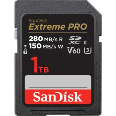 SanDisk SD 1 TB SDSDXEP-1T00-GN4IN