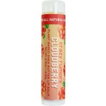 Crazy Rumors Cloudberry Lip Balm 4,25 g – Zboží Dáma