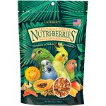 Lafeber´s Tropical Fruit Nutri-Berries Small Parrots 284 g – Hledejceny.cz