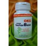 OKG Factor Base 60 ks – Hledejceny.cz