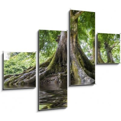 Obraz 4D čtyřdílný - 120 x 90 cm - big old tree and a river velký starý strom a řeka – Zboží Mobilmania