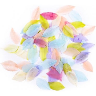 DP Craft Peří mix barev 5 gr. 6 cm – Hledejceny.cz