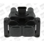 Zapalovací cívka BorgWarner (BERU) ZS395 – Hledejceny.cz