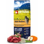 Ontario Adult Medium Lamb & Rice 12 kg – Zboží Dáma Ontario Adult Medium Lamb & Rice 12 kg – Zboží Dáma
